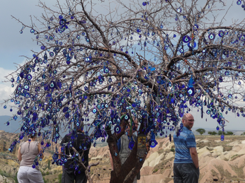 P1040604.JPG 3456x2592 index 360